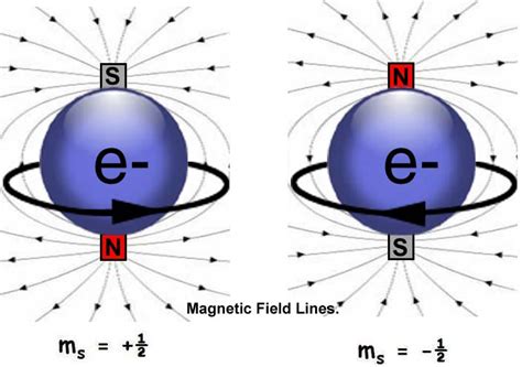 how are magnets similar to protons and electrons